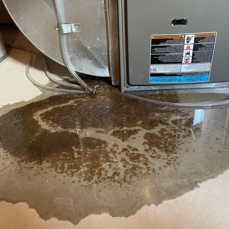 Pipe Burst and Leak Restoration in Hoover, AL